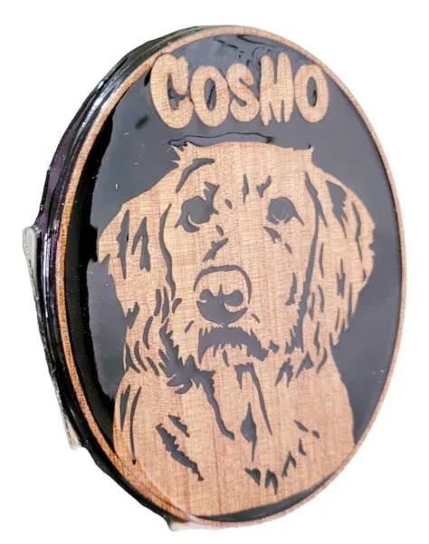 Pet Portrait, Cosmo